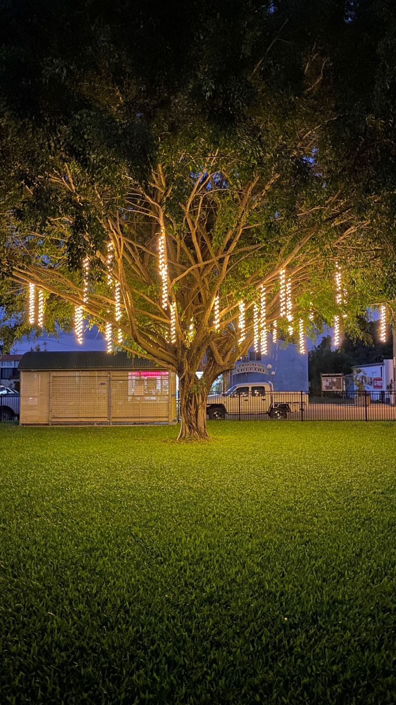Giru Tree