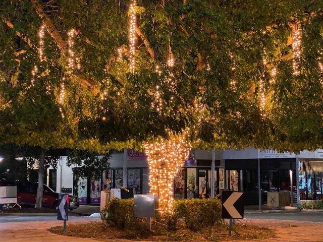 Gregory Street Tree, North Ward