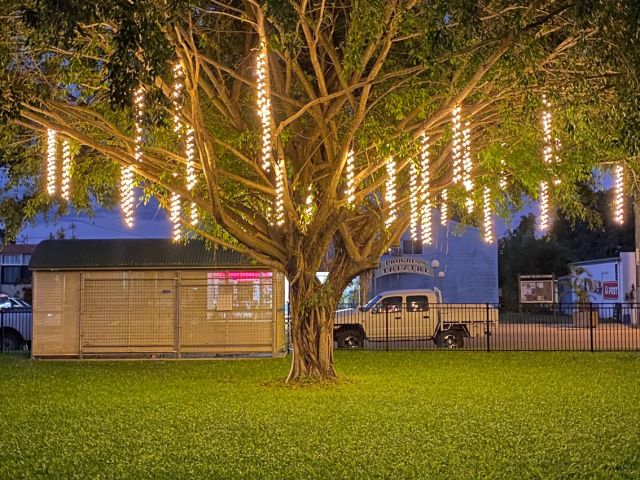 Giru Tree