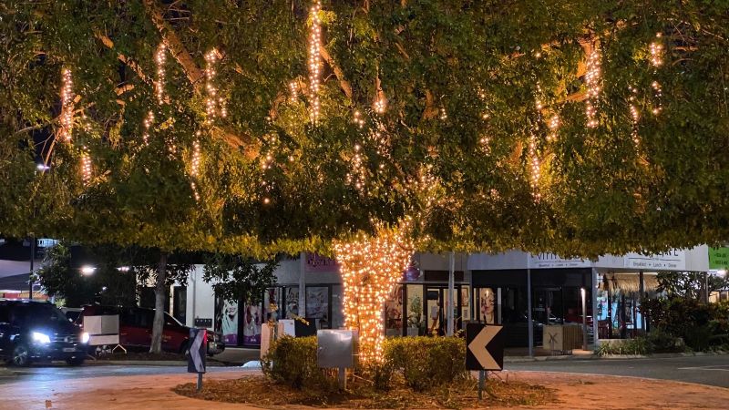 Gregory Street Tree, North Ward